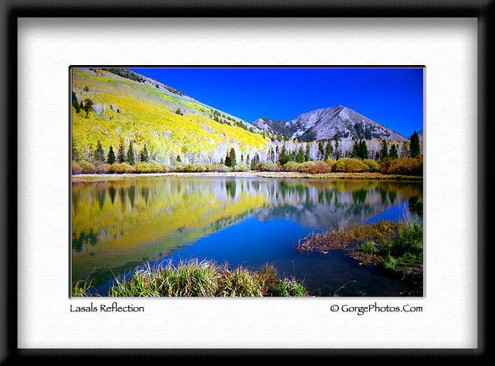 lasalsreflection