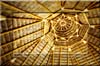 goldenpalapa